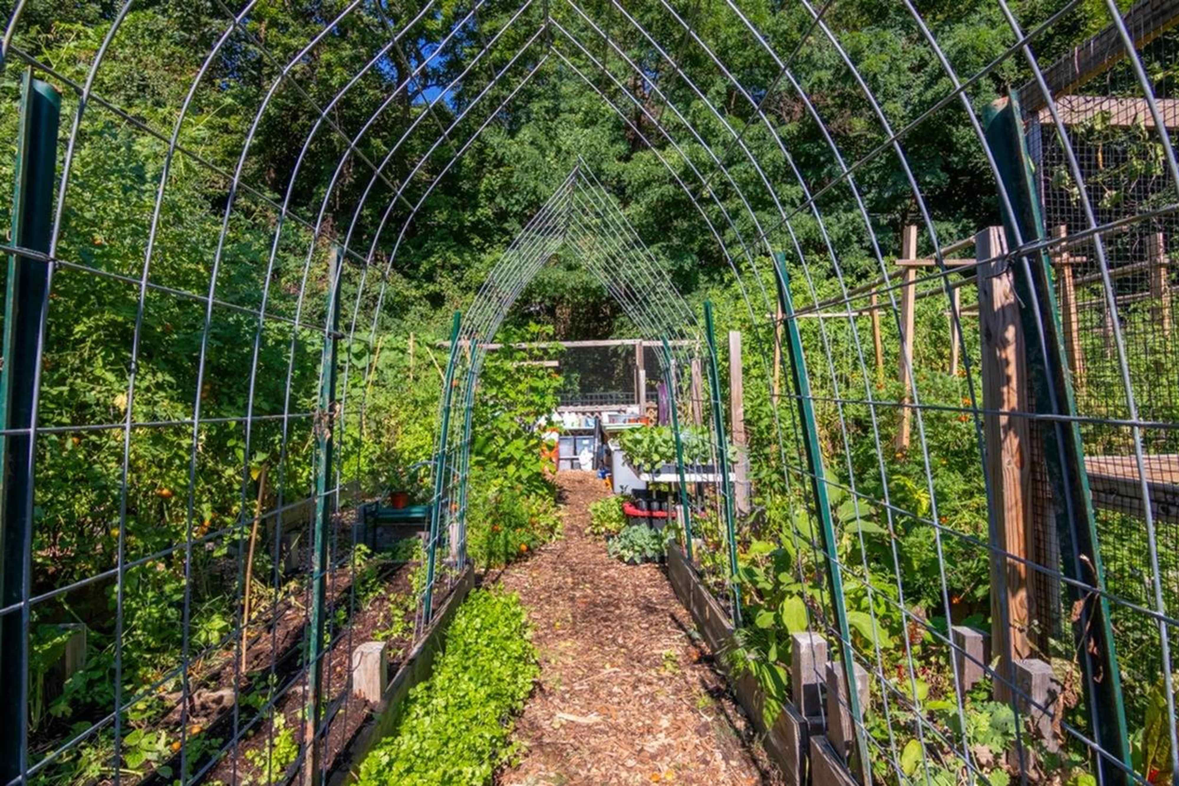 Gardening Area