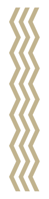 Divider Image