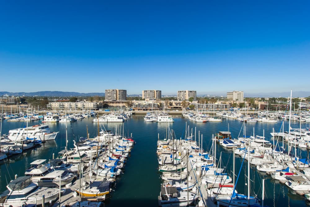 Luxury numerous boats docked in a marina at Capri Apartments in Marina Del Rey, California