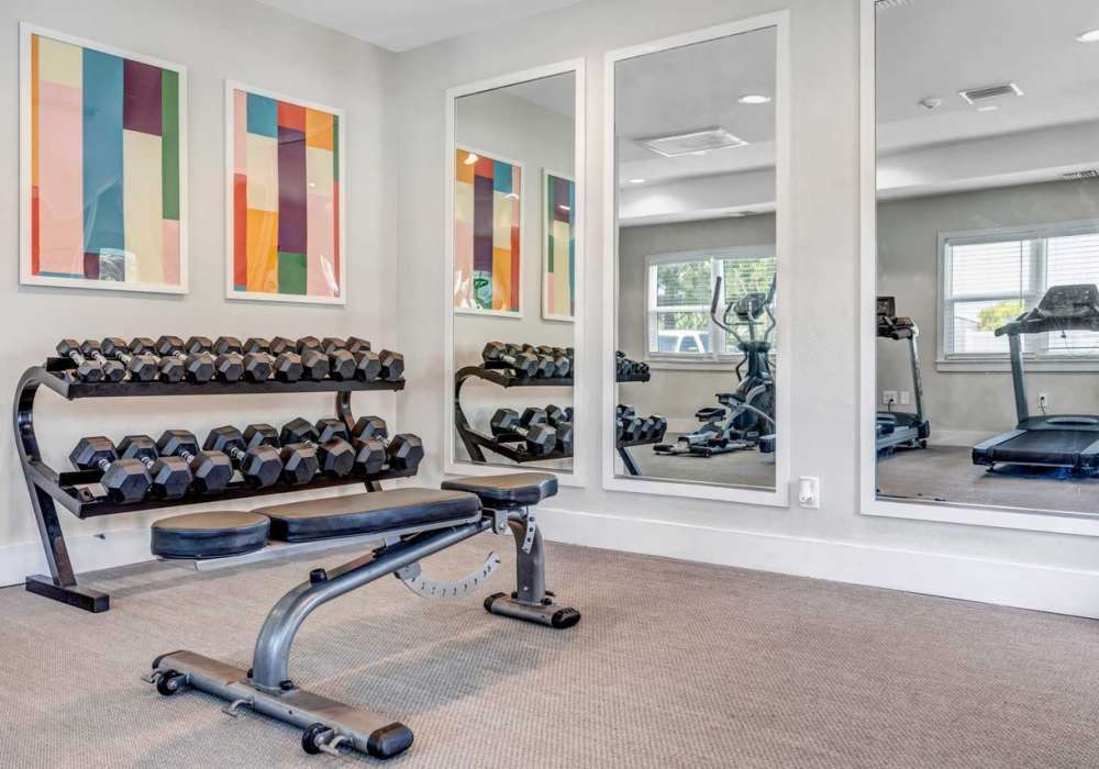 Fitness studio at Citrus Run Apartments in Tampa, Florida