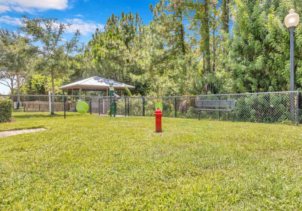 Community dog park at Citrus Run Apartments in Tampa, Florida