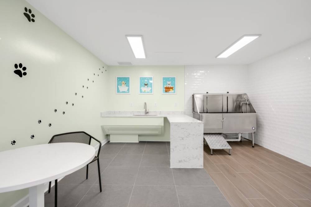 Pet spa with wood flooring at Andover at Crabtree in Raleigh. NC