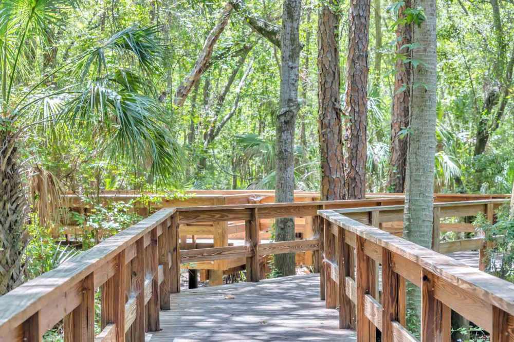 Walking path at Citrus Run Apartments in Tampa, Florida