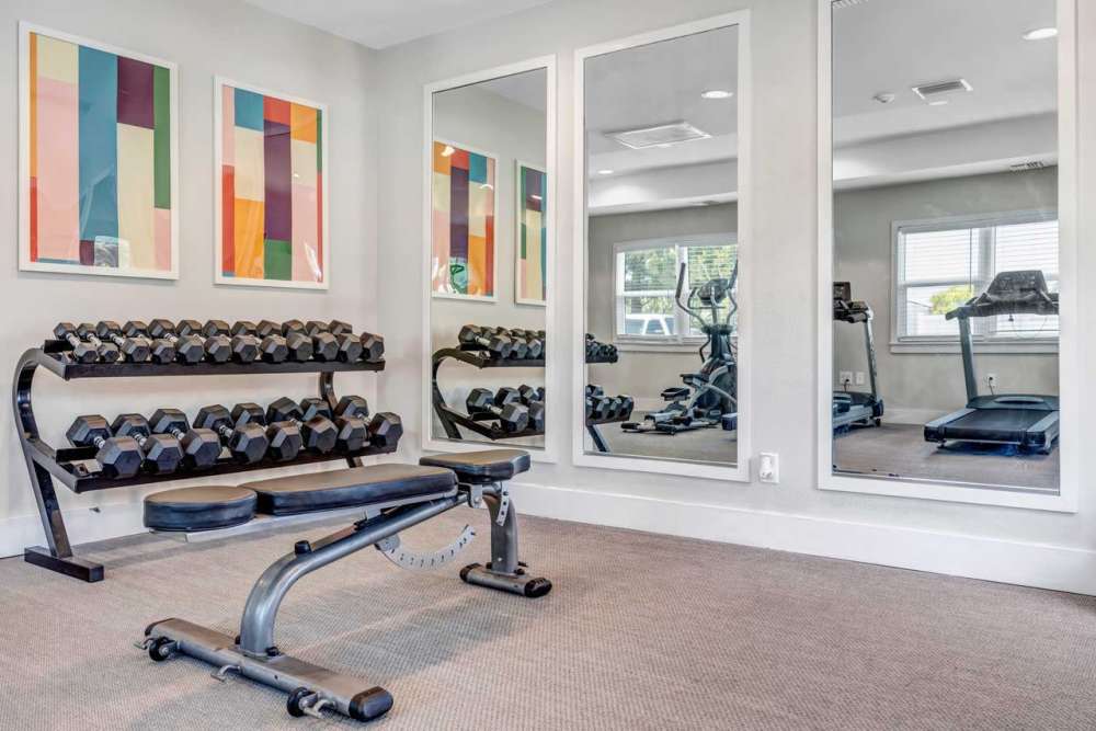 Fully equipped fitness center at Citrus Run Apartments in Tampa, Florida