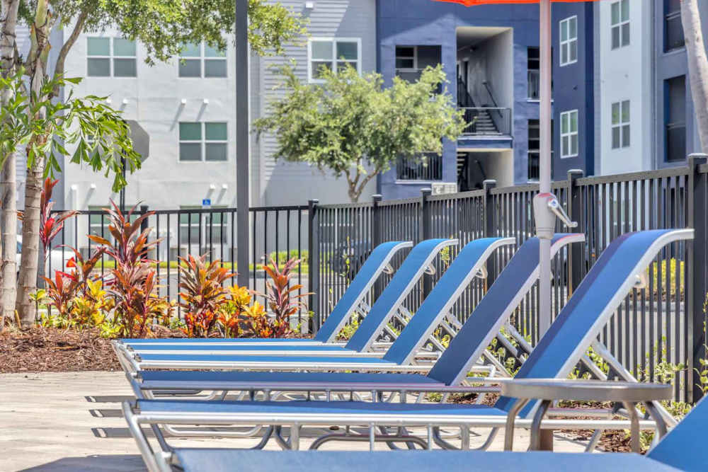 Community pool loungers at Citrus Run Apartments in Tampa, Florida