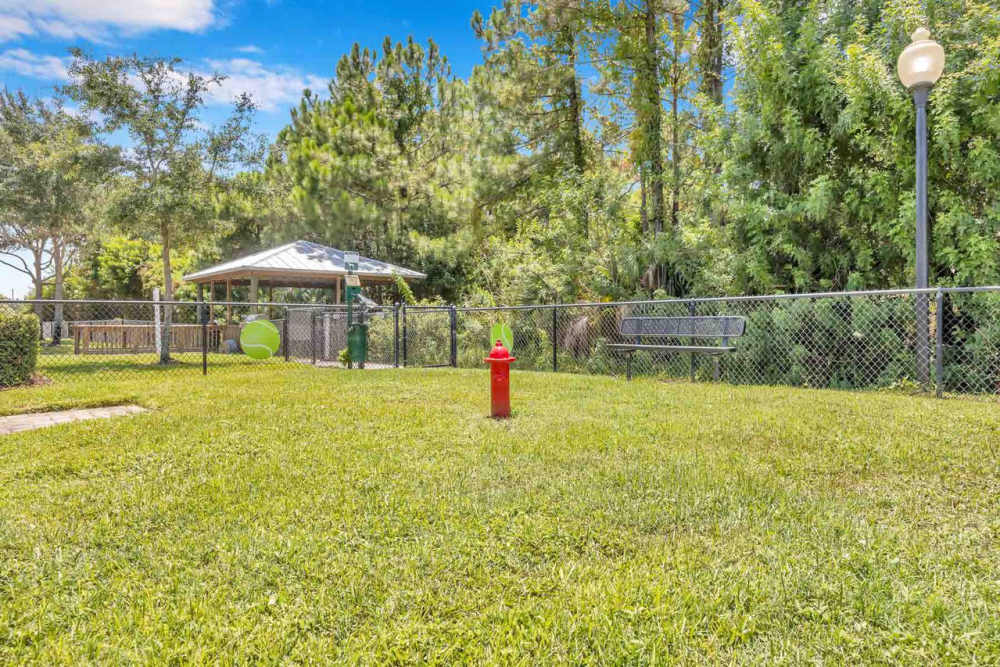 Community dog park area at Citrus Run Apartments in Tampa, Florida