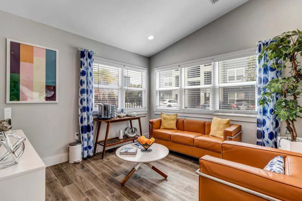 Upgraded living room at Citrus Run Apartments in Tampa, Florida