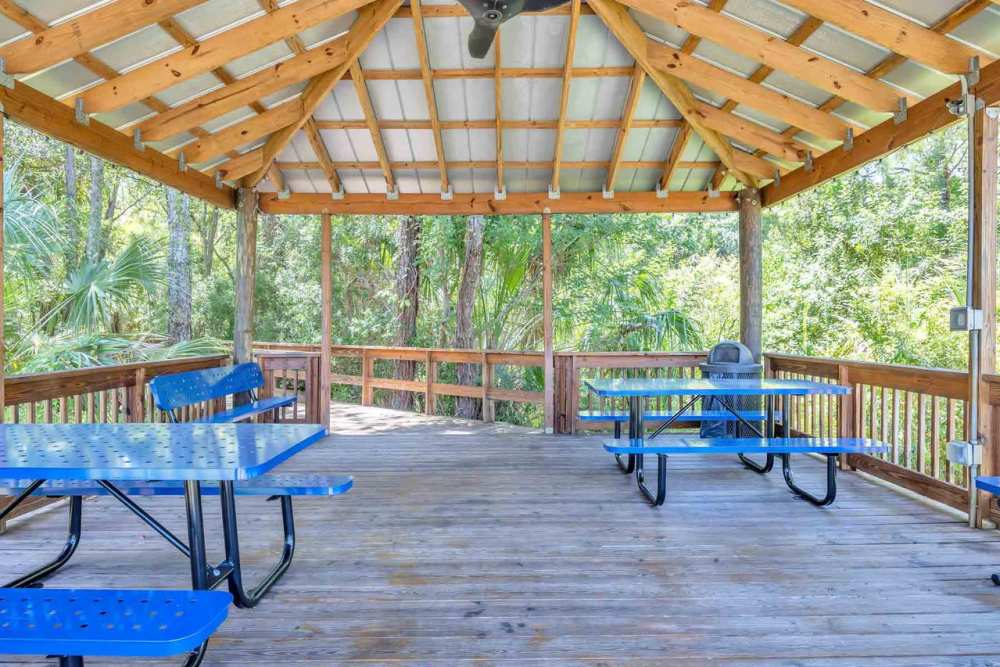 Cabana at Citrus Run Apartments in Tampa, Florida