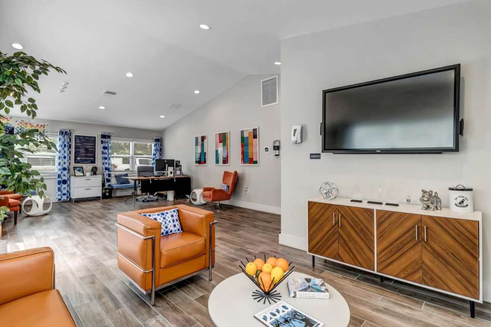 Living room with premium features at Citrus Run Apartments in Tampa, Florida