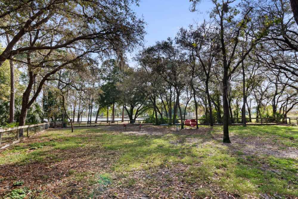 Dog park at Sun Lake in Lake Mary, Florida