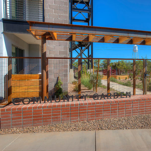 Community garden at District Lofts in Gilbert, Arizona