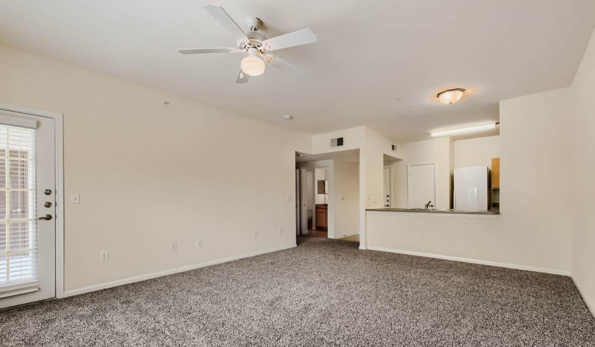 Spacious living area with carpet flooring and open layout leading to kitchen at Lindbergh Parc Senior Apartments in Fort Worth, Texas