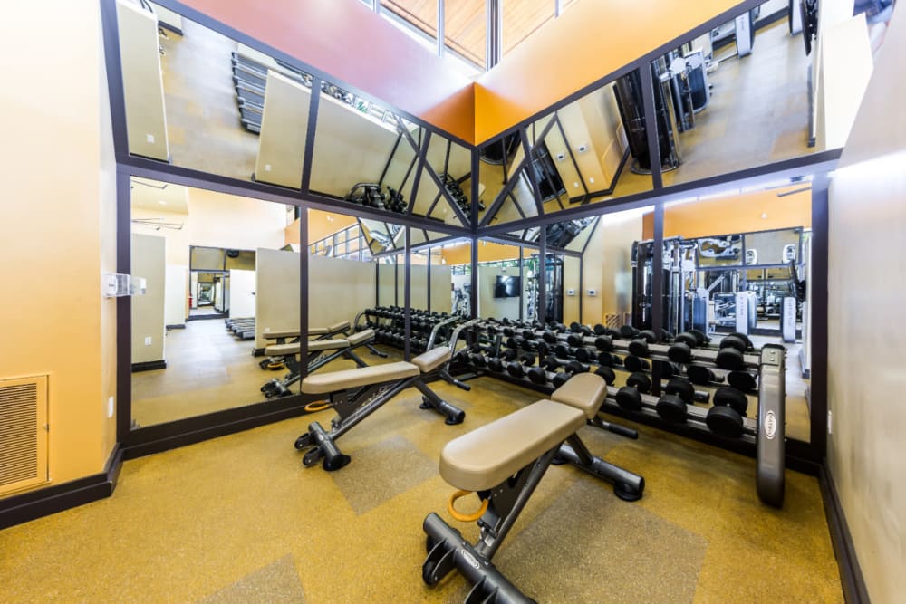Free weights and benches in the fitness center at Marquis at Desert Ridge in Phoenix, Arizona