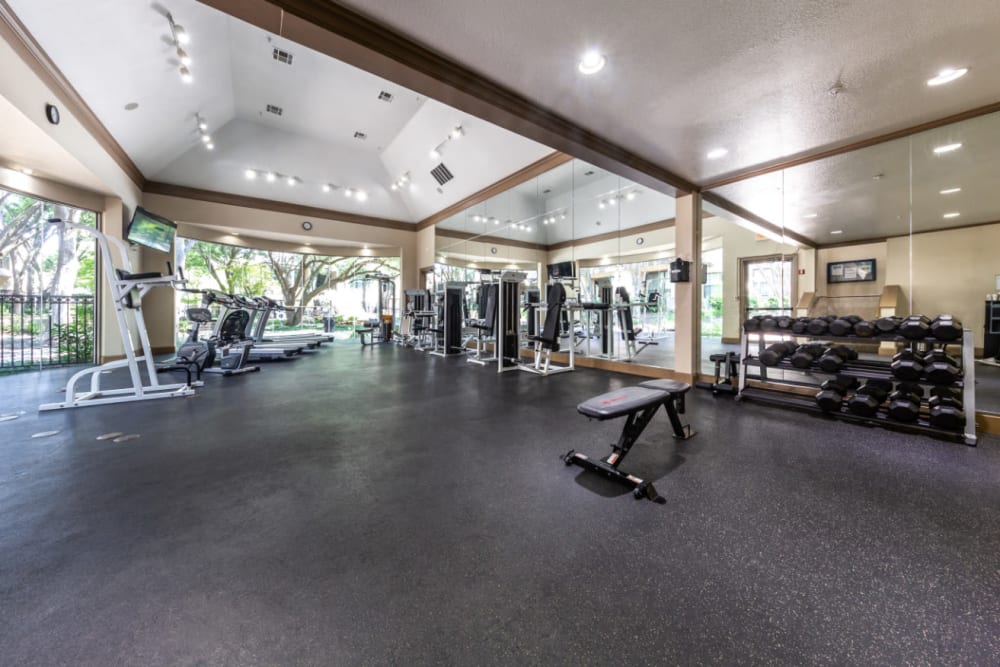 Spacious fitness room with cardio machines and free weights at Marquis at Waterview in Richardson, Texas