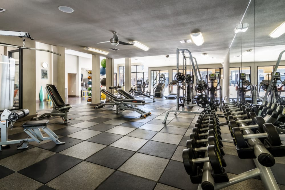 Indoor fitness center with free weights and multiple machines at Marquis at Barton Trails in Austin, Texas