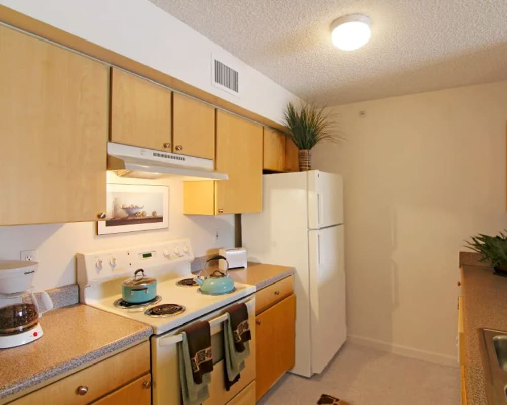 Spacious kitchen at San Marco Apartments in Ormond Beach, Florida