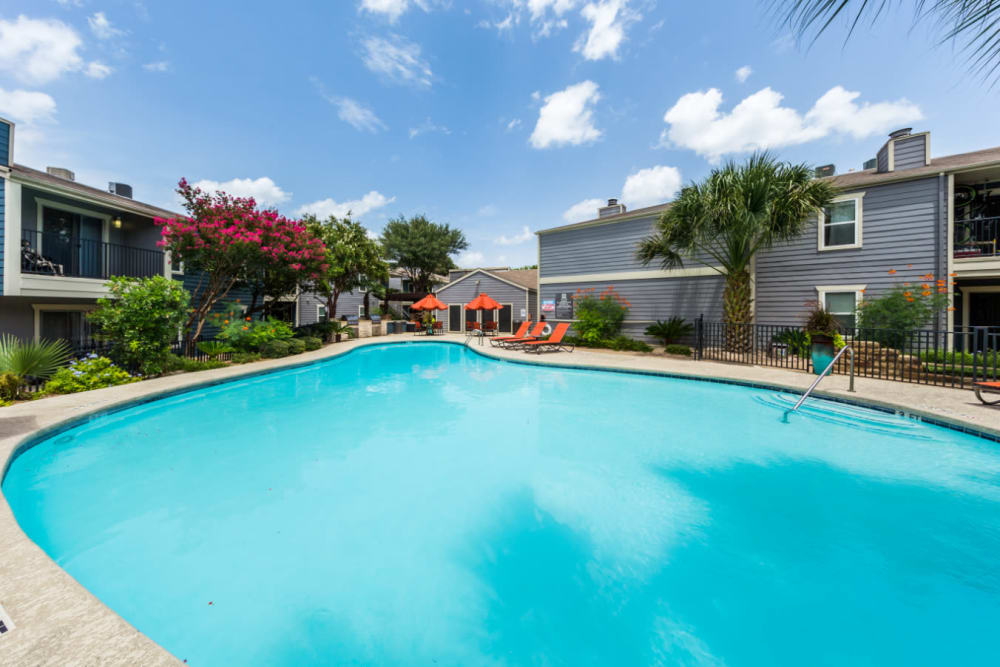 Large pool with lounge chairs in background of Austin Midtown in Austin, Texas