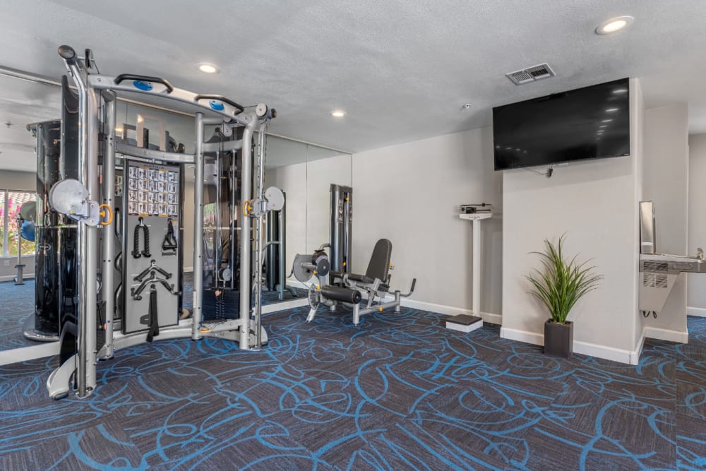 Multi-workout machine, standard stand-up scale, and large TV in fitness room at Alante at the Islands in Chandler, Arizona