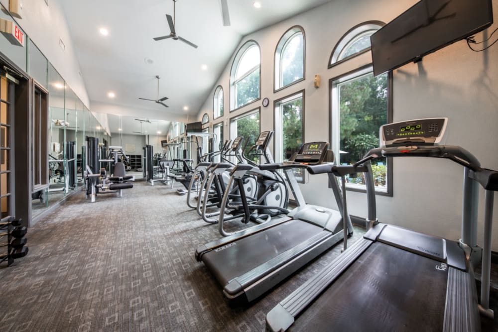 Treadmills and ellipticals machines in fitness room with large, wall-mounted tv monitor at Marquis at Kingwood in Kingwood, Texas