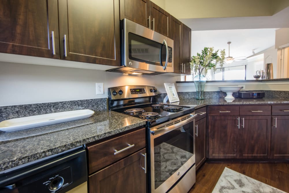 Stainless steel appliances in modern-style kitchen at Marquis at Treetops in Austin, Texas