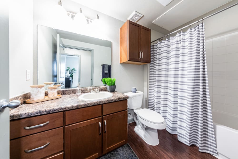 Clean bathroom at Marquis at Katy in Katy, Texas