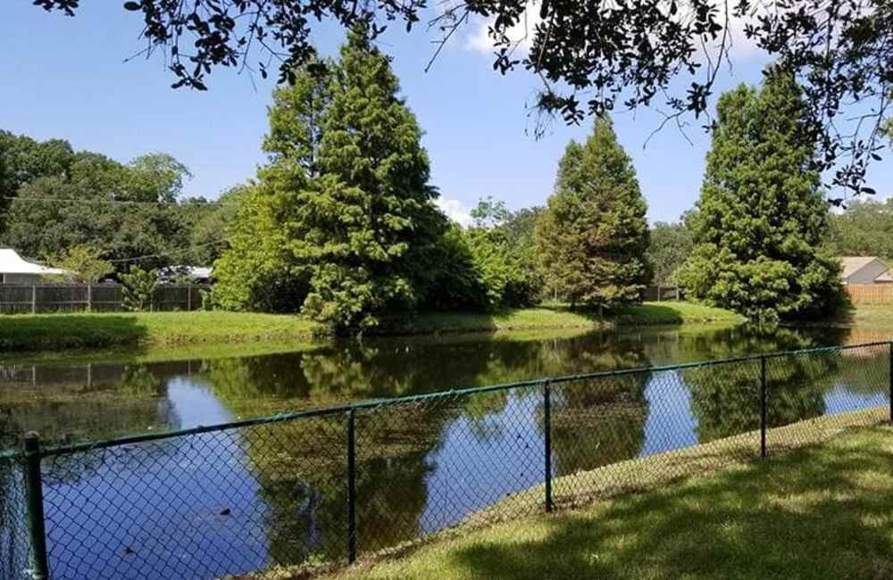 Lake views at Grove Pointe in Ruskin, Florida