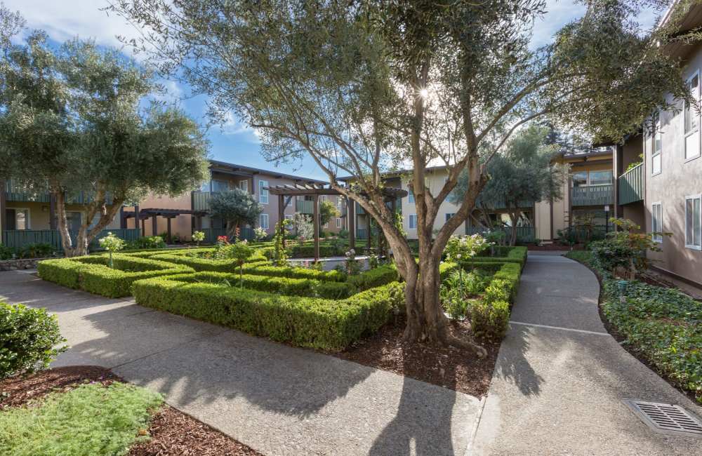 Modern Apartments at Whitman Green in Hayward, California