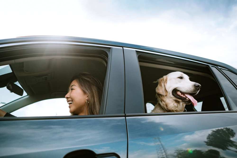 Woman driving with dog in her car near Northpoint at 68 in High Point, North Carolina