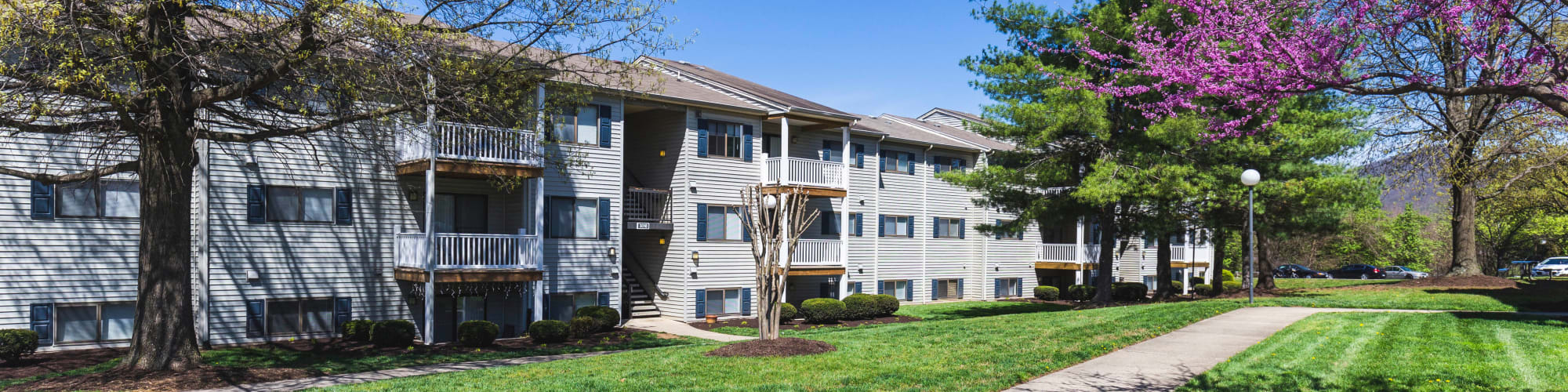 Neighborhood near Hickory Woods Apartments in Roanoke, Virginia