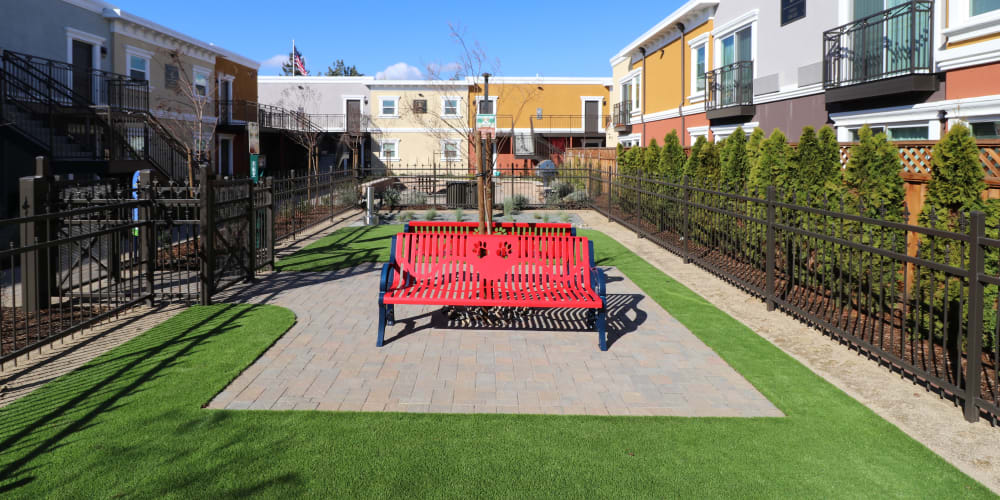 Benches in the fenced dog park at Ramblewood Apartments in Fremont, California