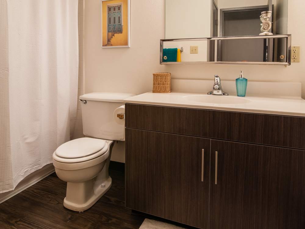 Modern bathroom with dark wood cabinetry at South Meadow in Ames, Iowa