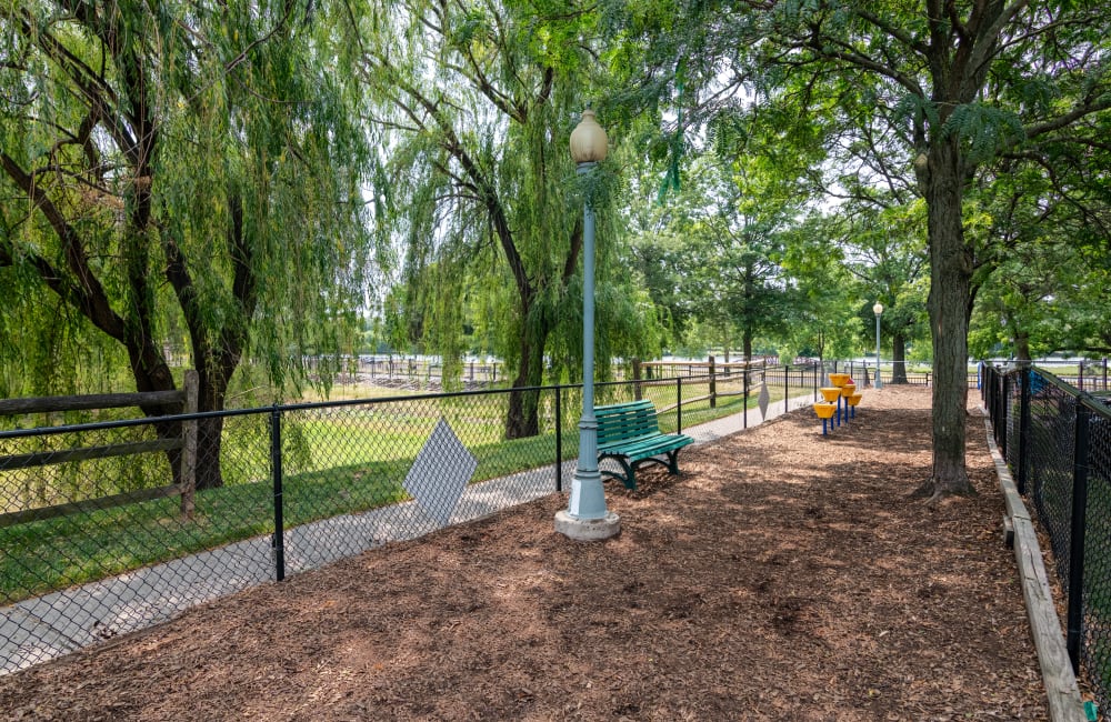Fenced dog park