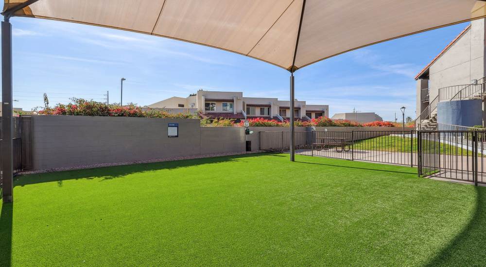 View of apartments with green lush at Clifton on 7th in Phoenix, Arizona