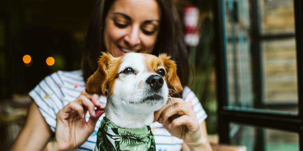 A woman putting a bandana on her dog at Mallory Square at Lake Nona in Orlando, Florida