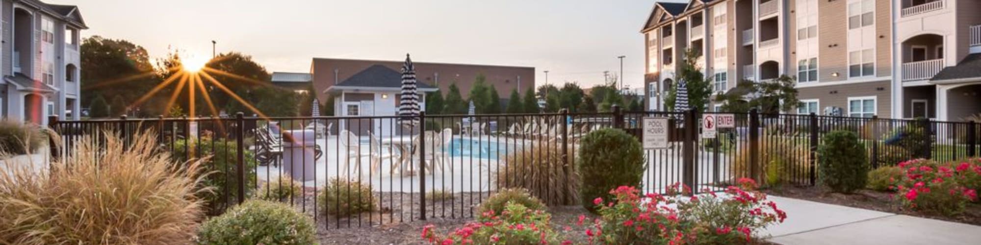 Privacy Policy at 29 North in Hickory, North Carolina
