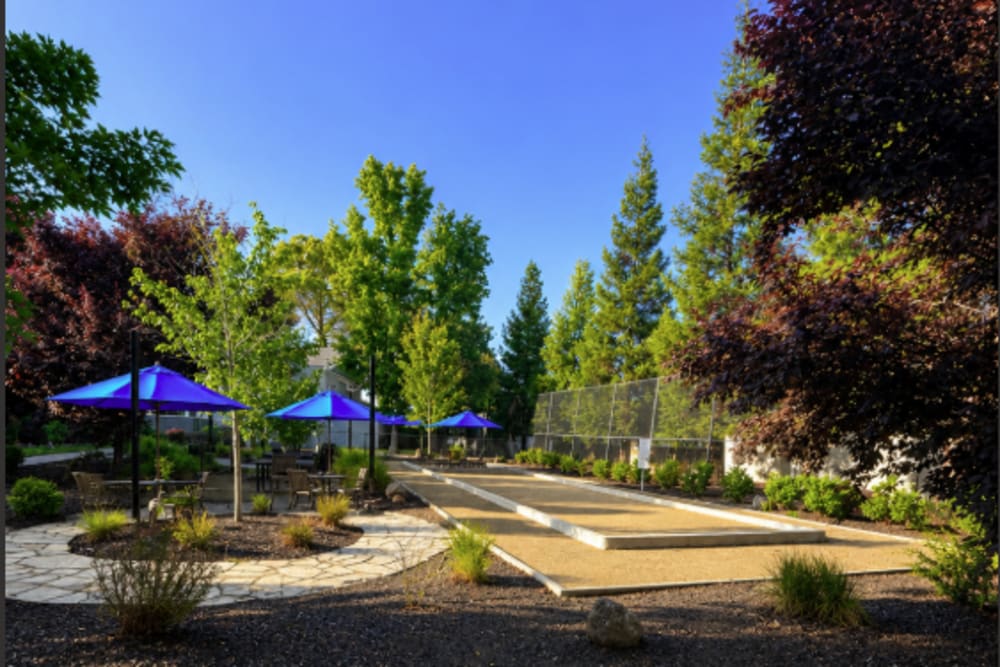 Outdoor court with seating, umbrellas, trees, and landscaped grounds at The Everette in Rocklin, California