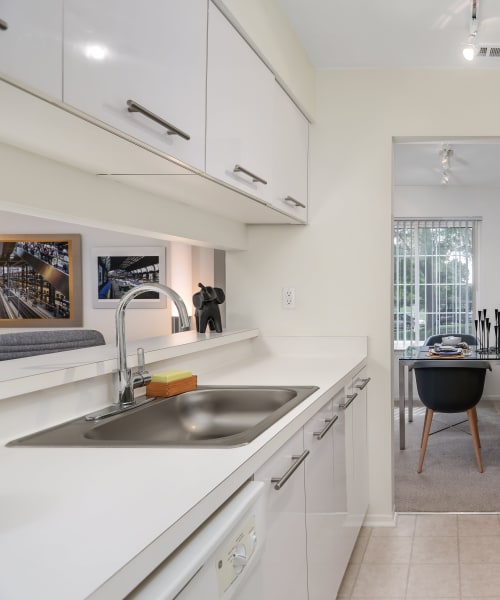 Fully equipped kitchen with double stainless-steel sink at Saddle Creek Apartments in Novi, Michigan