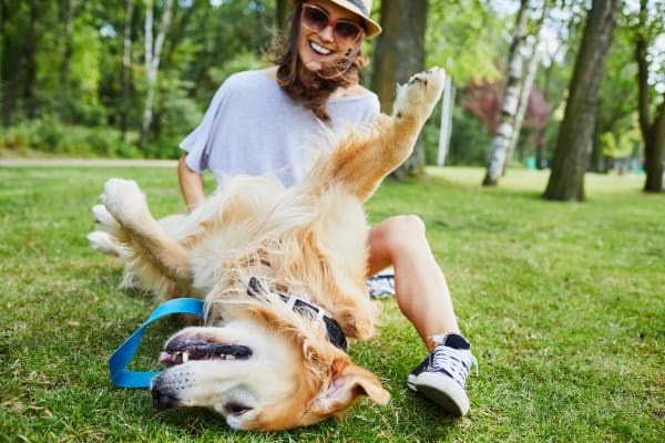 Dog enjoying the park with his owner at Lullwater at Blair Stone in Tallahassee, Florida