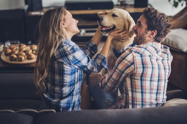 Young couple playing with their dog at 23Hundred at Ridgeview home in Plano, Texas