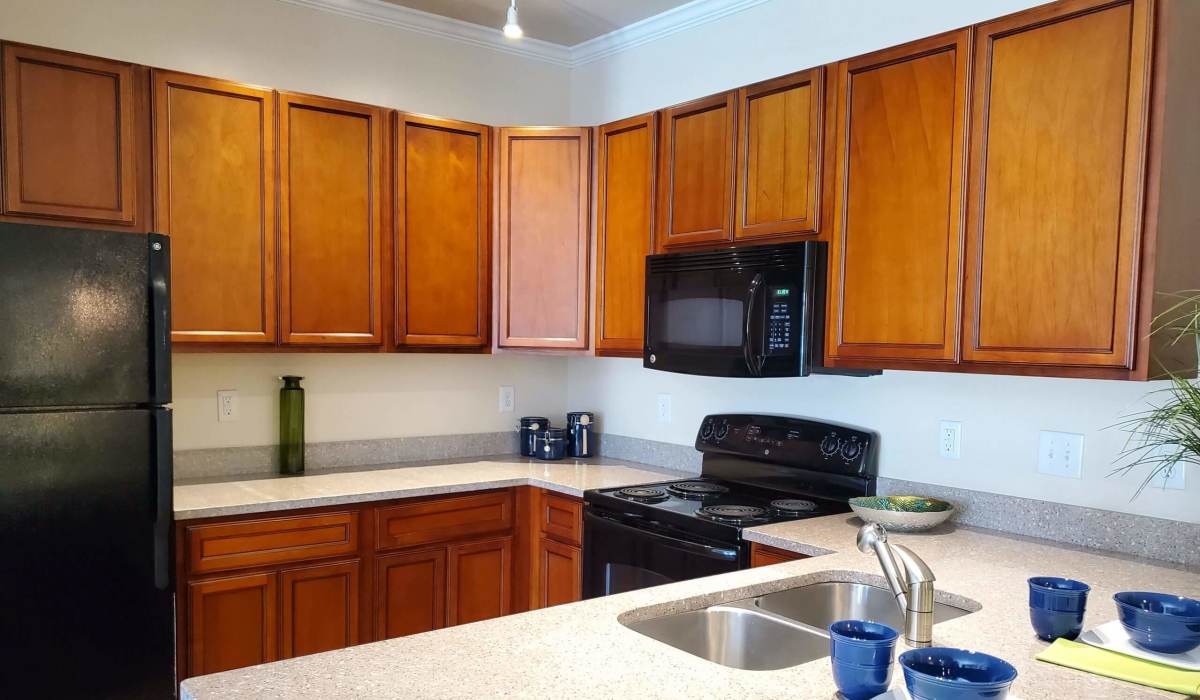 Modern kitchen at Palisades at Ballentine in Irmo, South Carolina
