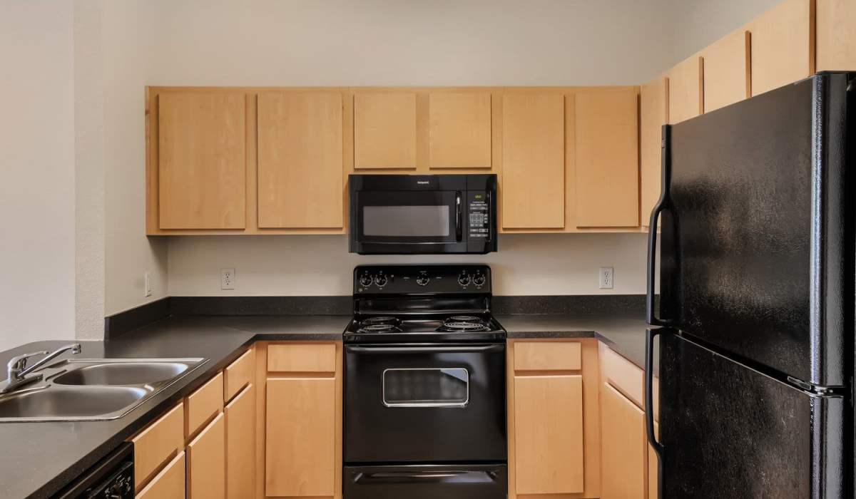Modern kitchen with black appliances, light wood cabinets, and double sink at Lindbergh Parc Senior Apartments in Fort Worth, Texas