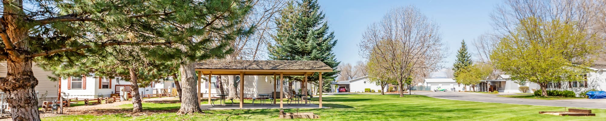 Privacy policy at Sunset Park in Loveland, Colorado
