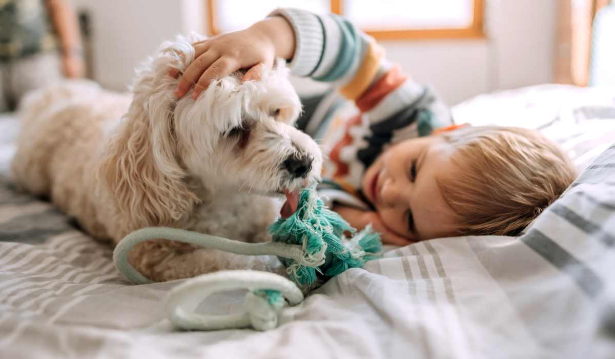 Kid playing with his dog at Crystal Lake & Kingsley Apartments and Townhomes in Fayetteville, North Carolina