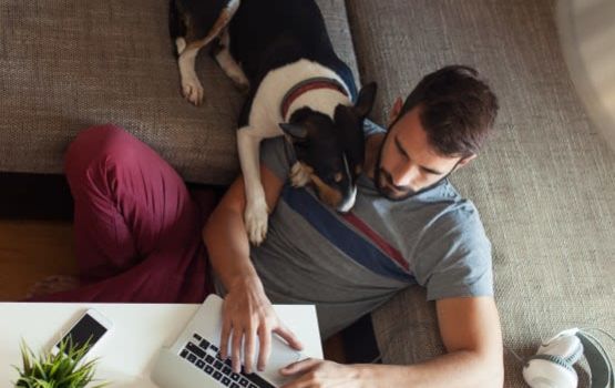 Happy dog surfing the web with her owner in their new home at The Heights at Sugarloaf in Duluth, Georgia