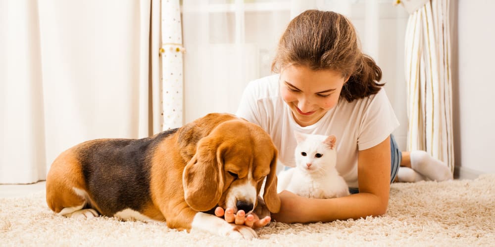 Child resident laying down and cuddling her puppy and kitten on the carpet at Marina Haven Apartments in San Leandro, California