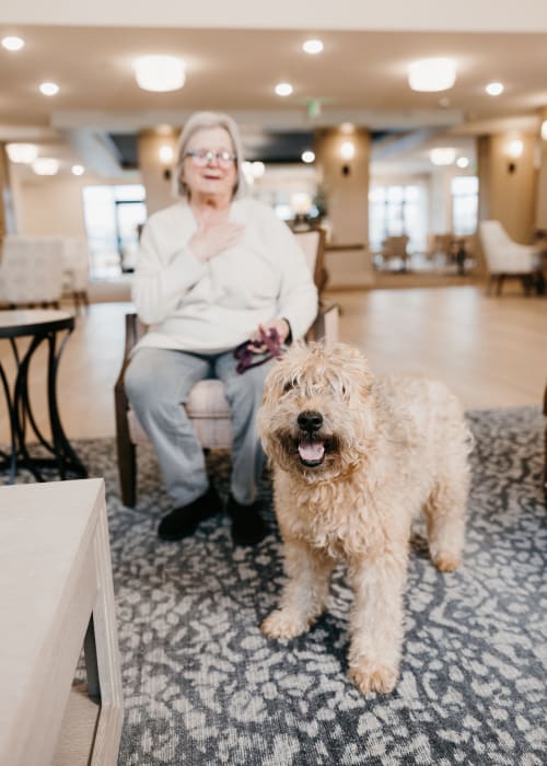 Woman with her dog at The Pillars of Lakeville in Lakeville, Minnesota