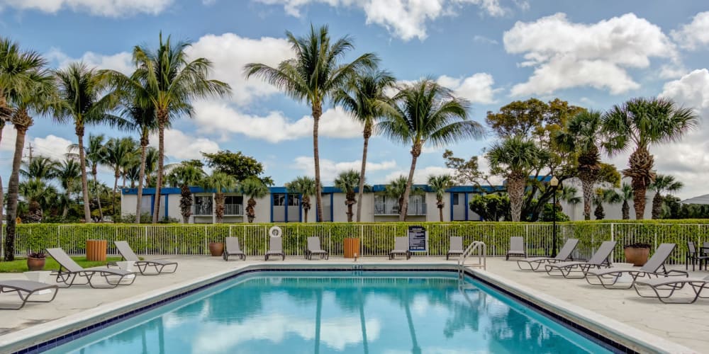 Lounge chairs next to the sparkling swimming pool at Costa Del Lago in Lake Worth, Florida