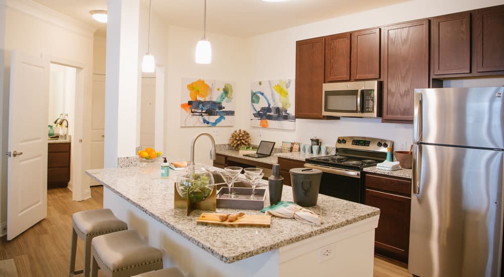 Modern kitchen with stainless-steel appliances at Beacon on 5th in Charlottesville, Virginia