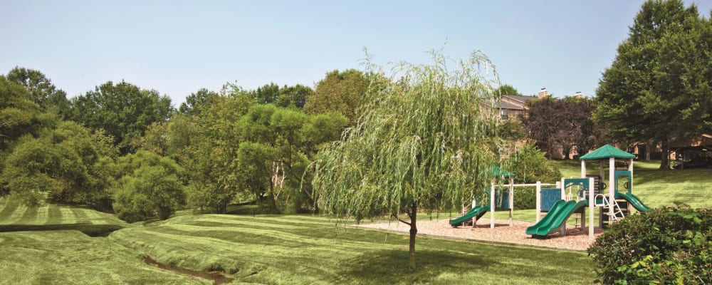 A large grassy park with a playground at Stonecreek Club in Germantown, Maryland