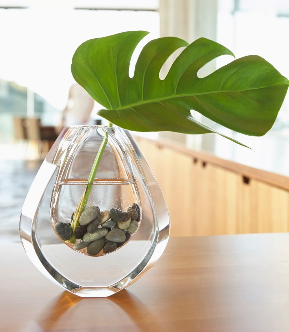 Plant in a modern looking vase at Sofi Waterford Park in San Jose, California